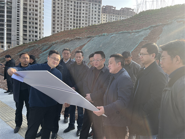 1月19日汪凯县长一行调研集团项目建设（乐动（中国）大厦）.jpg