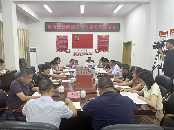 9月13日晚，县领导詹凯、汪盛调研集团运营情况，县发改委、县资规局、县住建局、县财政局（国资委）、县人社局、徽城镇负责同志，乐动（中国）集团班子成员，集团各部门、各一级子公司主要负责人参加座谈会。.jpg